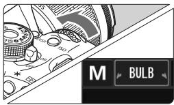 M BULB