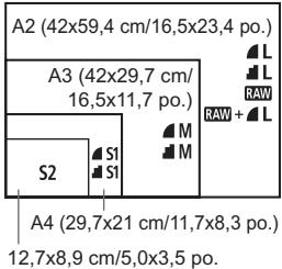 A2 (42x59,4 cm/16,5x23,4 po.) A3 (42x29,7 cm/ 16,5x11,7 po.) S2 S1 M M RAW + L A4 (29,7x21 cm/11,7x8,3 po.) 12,7x8,9 cm/5,0x3,5 po.