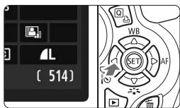 L ( 514 )