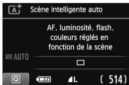 Scène intelligente auto AF, luminosité, flash, couleurs réglés en fonction de la scène AUTO (514)