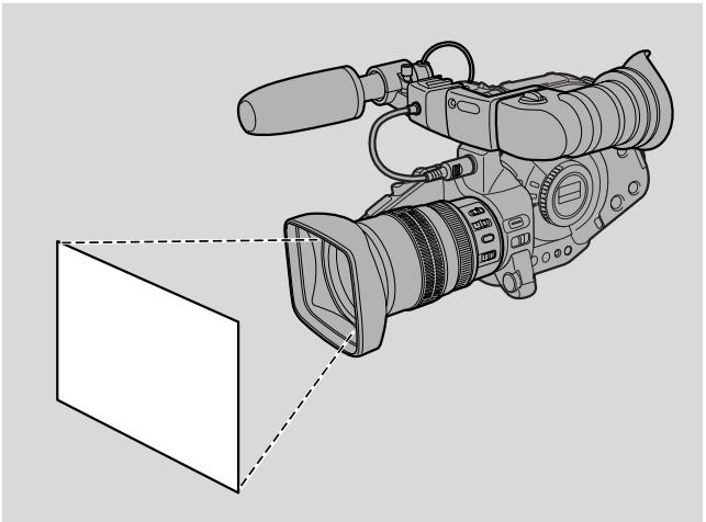 CANON XL1 - Adjusting the White Balance - 1