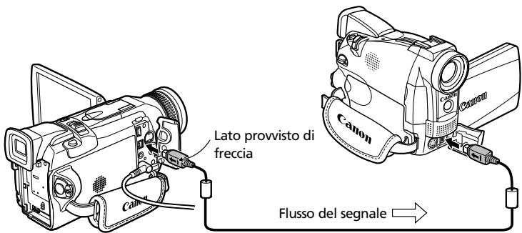 Lato provvisto di freccia Flusso del segnale →