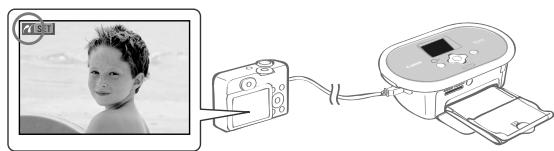 CANON SELPHY CP770 - Schalten Sie zuerst den Drucker und dann die Kamera an. Spielen Sie die Bilder mit der Kamera ab. - 1