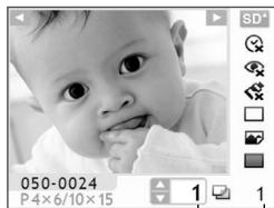 CANON SELPHY CP770 - Cartes mémoire compatibles - 8