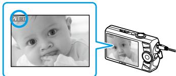 CANON SELPHY CP780 - Printing From Your Digital Camera - 3