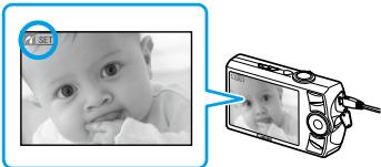 CANON SELPHY CP780 - Drucken von Bildern über ihre Digitalkamera - 3