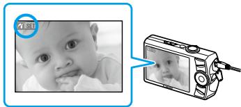 CANON SELPHY CP780 - Stampa da una fotocamera digitale - 3