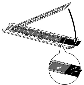 CANON CANOSCAN 4400F - Come usare la Protezione - 1