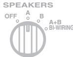 YAMAHA A-S1000 - Frontblende (rechte Seite) - 4