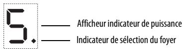 WHIRLPOOL ACM 802/NE - INSTALLATIE INSTRUCTIE - Activation et réglage des foyer - 1