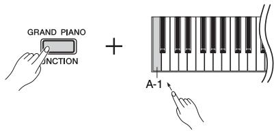 YAMAHA P-45 - Lorsque l'instrument est allumé : - 1
