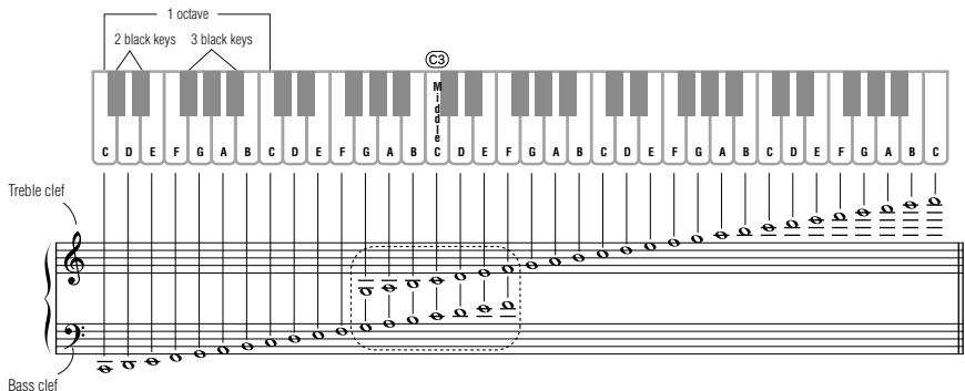 1 octave 2 black keys 3 black keys C D E F G A B C D E F G A B C D E F G A B C D E F G A B C Treble clef Bass clef