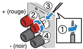 YAMAHA RX-V473 - Raccordement des cables d'enceinte - 1