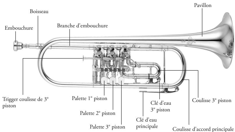 YAMAHA TRUMPET/CORNET/FLUGELHORN/ROTARY TRUMPET - Cornet - 3