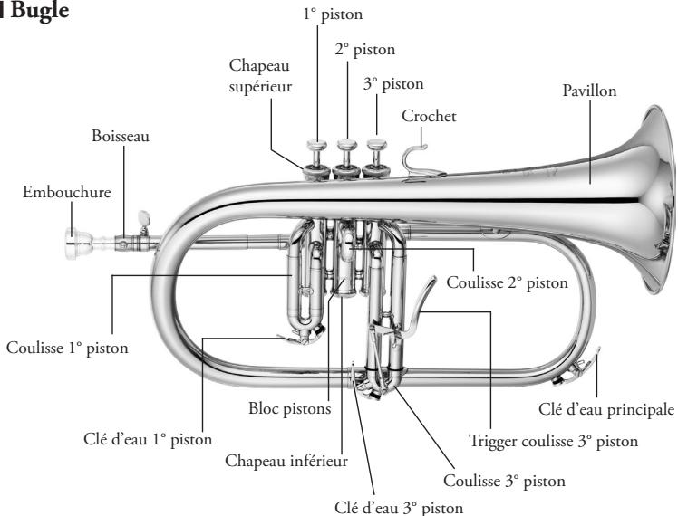 YAMAHA TRUMPET/CORNET/FLUGELHORN/ROTARY TRUMPET - Cornet - 2