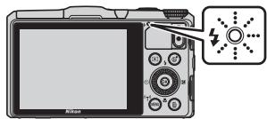 NIKON COOLPIX S9700 - Témoin du flash - 1