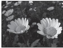 NIKON COOLPIX S9700 - Réglage de la valeur d'ouverture - 3