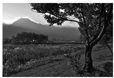 NIKON D610 - D-Lighting actif - 3