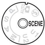 NIKON D610 - Photographie créative (Modes scène) - 1