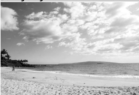 NIKON D610 - Plage/neige - 1