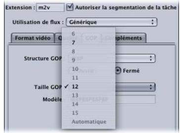 APPLE COMPRESSOR 4 - Onglet GOP - 3