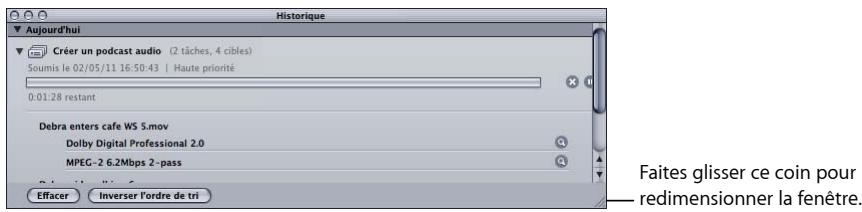 APPLE COMPRESSOR 4 - Pour redimensionner une fenetre - 1