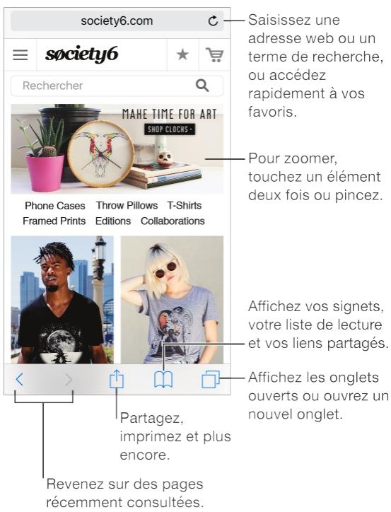 Safari en un coup d'oeil 1