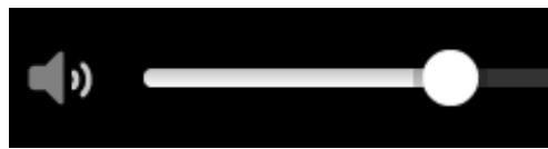 TOMTOM GO 5000 - Réglage du volume - 1