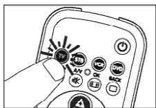 PHILIPS SRU 3040 - PrzykriadTelewizora: - 1