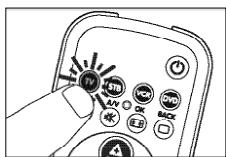 PHILIPS SRU 3040 - BeispielFernsehgerat: - 1