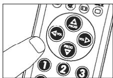PHILIPS SRU 3040 - Example of TV: - 2