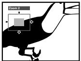 PIONEER DV 454 - During playback, use the ZOOM button to select the zoom factor. - 2