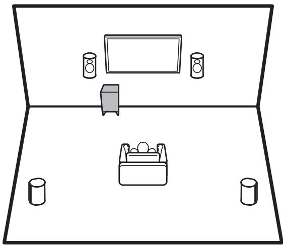 PIONEER FS-W50 - De VERBINDINGSLED - 3