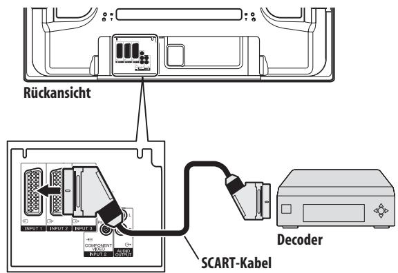 PIONEER PDP-4270XD - Anschlieben eines Decoders - 1