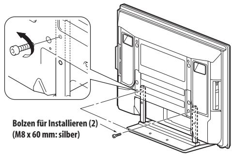 PIONEER PDP-4270XD - Abnehmer des FuBes - 2