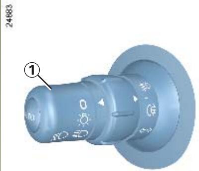 RENAULT CLIO 3 - Feux additionnels de virage - 1