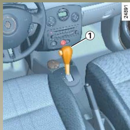 RENAULT CLIO 3 - Arrêt de la fonction - 2