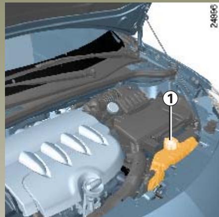 RENAULT CLIO 3 - NIVEAUX - 1