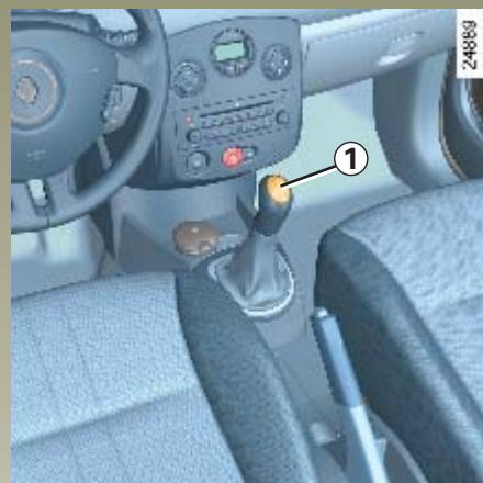 RENAULT CLIO 3 - DIRECTION ASSISTÉE - 1