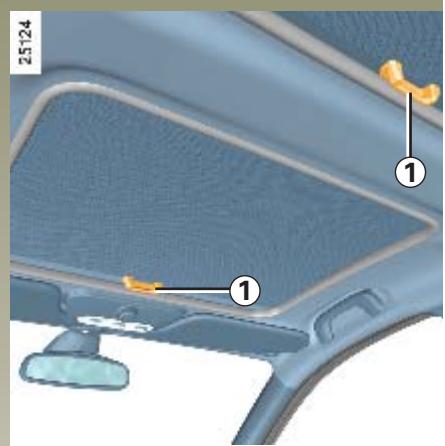 RENAULT CLIO 3 - TOIT OUVRANT À COMMANDE ÉLECTRIQUE - 1