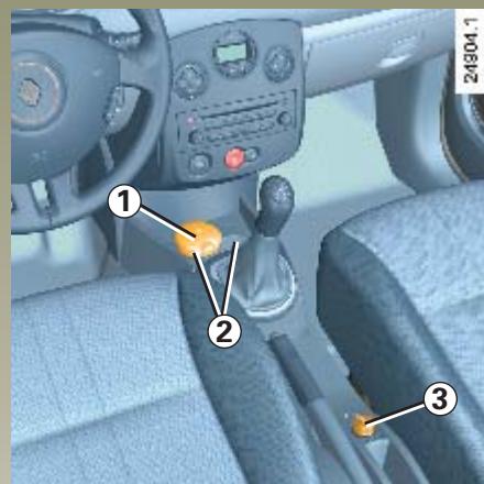 RENAULT CLIO 3 - Poignée de besoin 13 - 1