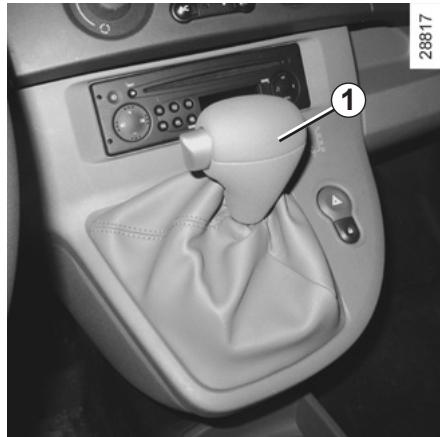 RENAULT KANGOO 2 2012 - Cas particuliers - 1
