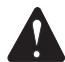 RYOBI RLT430CES - WARNING - 1