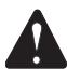 RYOBI RLT430CES - WARNING - 1