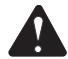 RYOBI RLT430CES - ADVERTENCIA - 1