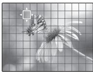 FUJIFILM FINEPIX XP120 - Recording and Editing Cinemagrams - 5