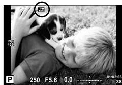 OLYMPUS OM-D E-M10 - Enregistrement de plusieurs expositions dans une image seule (multi exposition) - 2