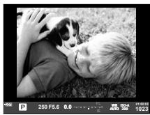 OLYMPUS OM-D E-M10 - Utilisation des modes de prise de vue - 1