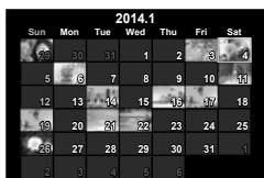 OLYMPUS OM-D E-M10 - Affichage de l'index/Affichage du calendrier - 3