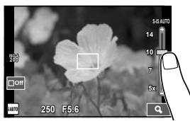 OLYMPUS OM-D E-M10 - ■ Prévisualiser votre sujet (F) - 1